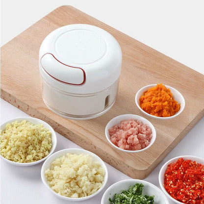 New Speedy Garlic and Spices Crusher | Multifunctional Crusher for Ginger, Garlic & Spices